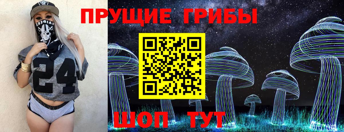 Галлюциногенные грибы мицелий Курчатов